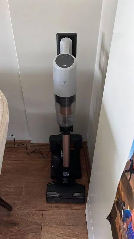 Electrolux EP82AB25UG 800 Serisi Animal Dikey Şarjlı Süpürge, 10 Yıl Motor Garantili