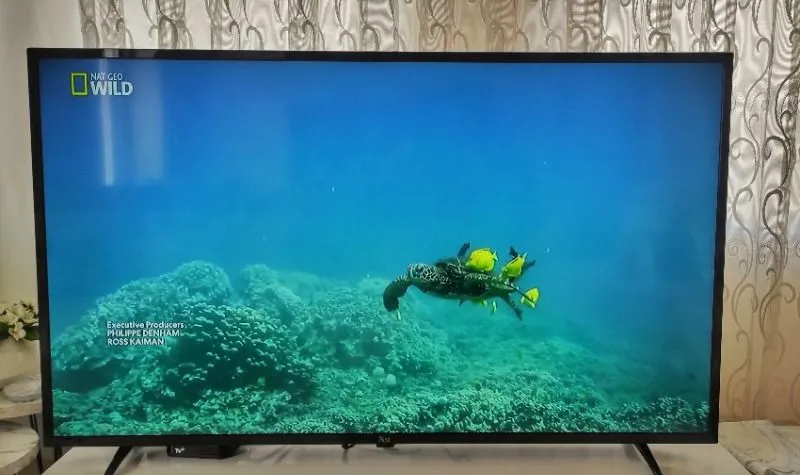 Next YE-43020G6 43″ 109 Ekran Uydu Alıcılı Full HD LED TV
