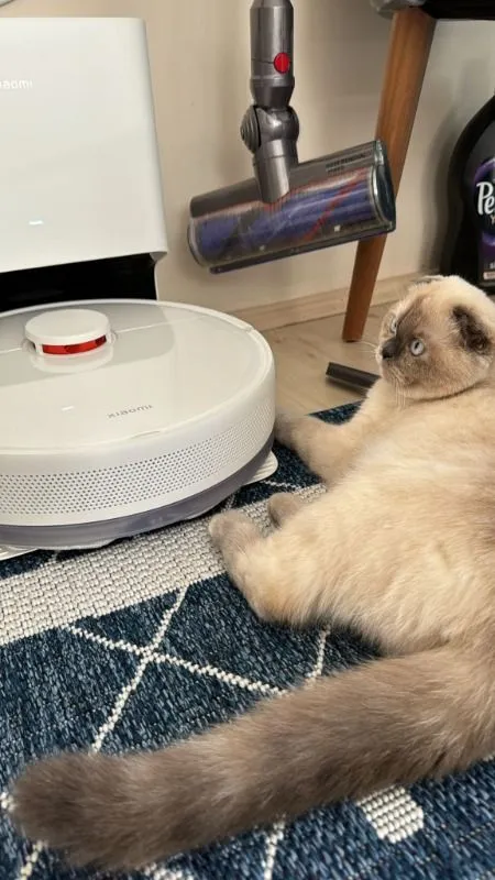 Xiaomi Robot Vacuum X10 Çöp Istasyonlu Akıllı Robot Süpürge BHR6068EU
