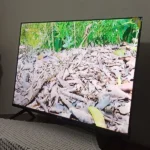 Tuğba Koç ürün değerlendirmesi