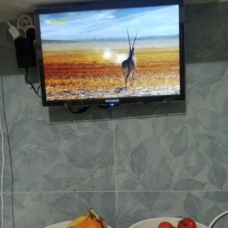 Rose 19″ HD Ready LCD TV Ekran-119 48 Ekran LED Teknolojisi ile Smart TV Özelliği Yok