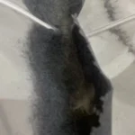 Tülay Karagöz ürün değerlendirmesi