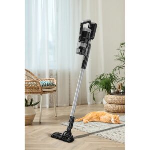 ALTUS Al 6824 Ds 2'si 1 Arada Şarjlı Dik Süpürge HBCV00007C5W99
