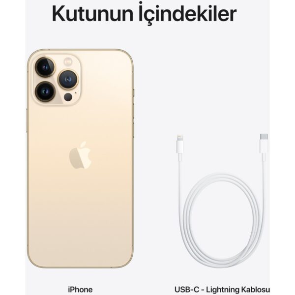 Apple iPhone 13 Pro Max