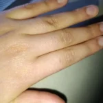 Orhan Özkaya ürün değerlendirmesi