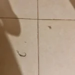 Ali Çiftçi ürün değerlendirmesi