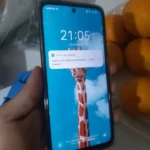 Asya Avcı ürün değerlendirmesi