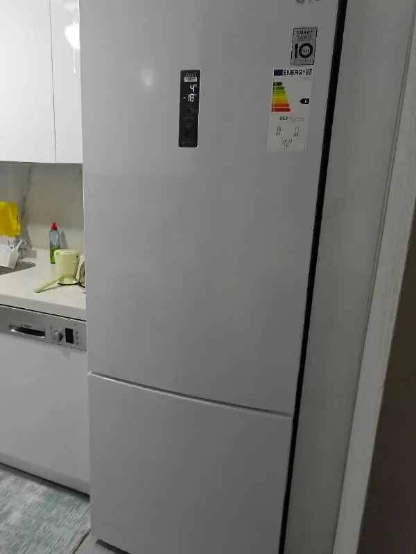 LG GC-B569NQLM E Sınıfı 462 Lt No Frost Çift Kapılı Buzdolabı ile Enerji Verimliliği
