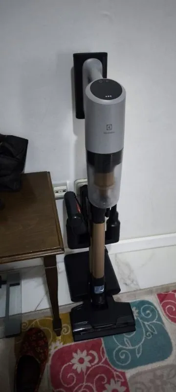Electrolux EP82AB25UG 800 Serisi Animal Dikey Şarjlı Süpürge, 10 Yıl Motor Garantili