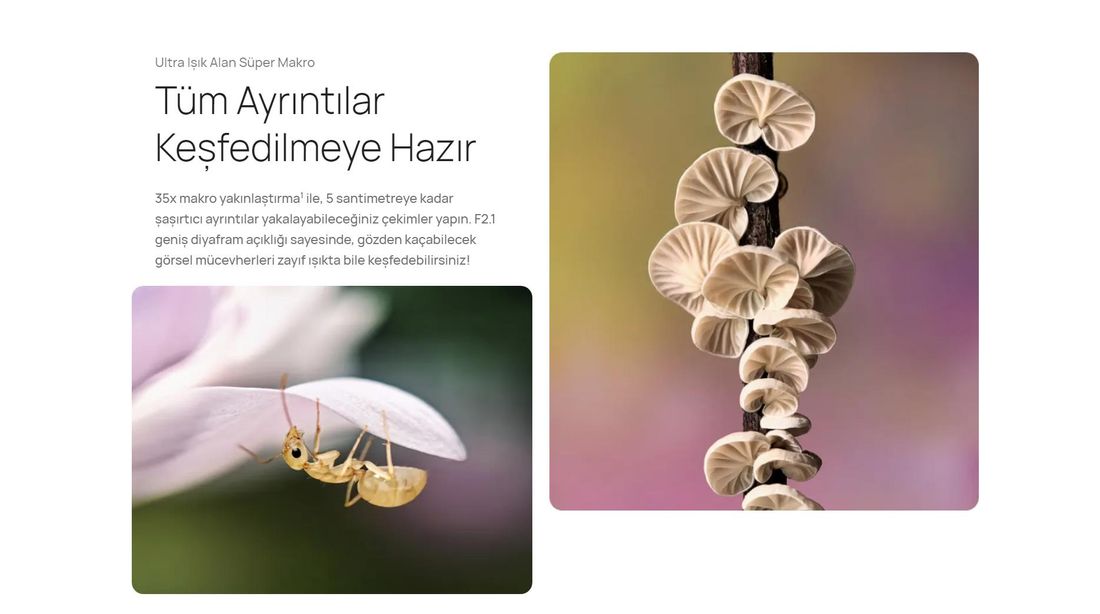 Huawei Pura 70 Pro