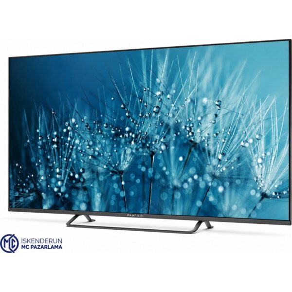 Profilo 55PA545EQG 55″ 140 Ekran 4K Ultra Hd QLED Televizyon