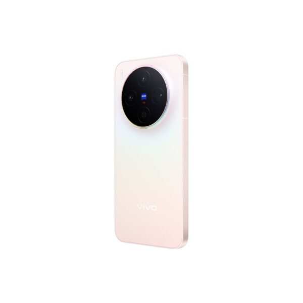 Vivo X300