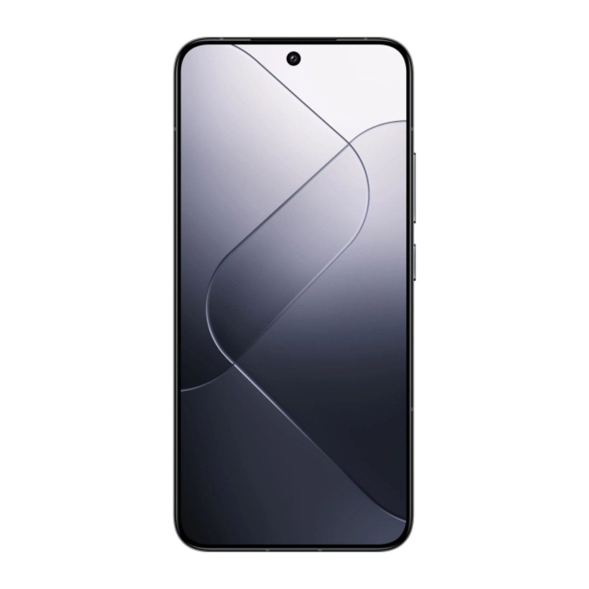 Xiaomi 14 Pro Standart