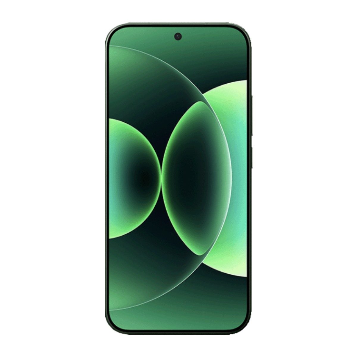 Xiaomi 17 Pro Max Orman Yeşili Standart